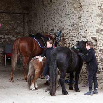 stage équitation