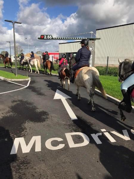 activités du centre équestre