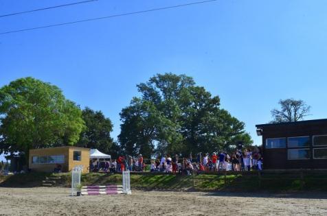 concours de saut à poney