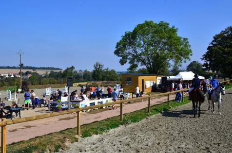 Stage de perfectionnement équestre près de Caen