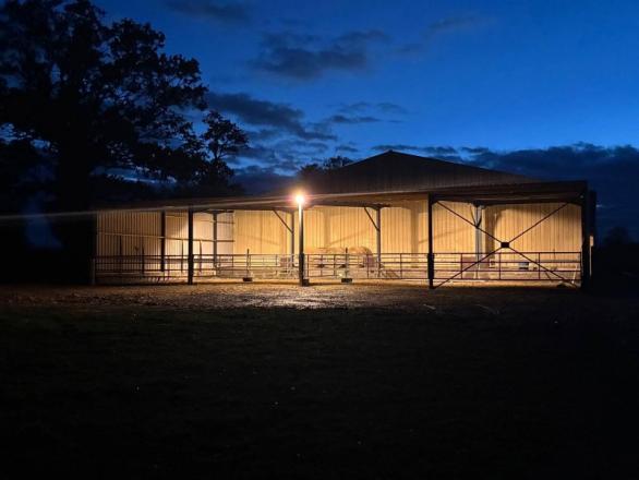 élevage équin dans le Calvados