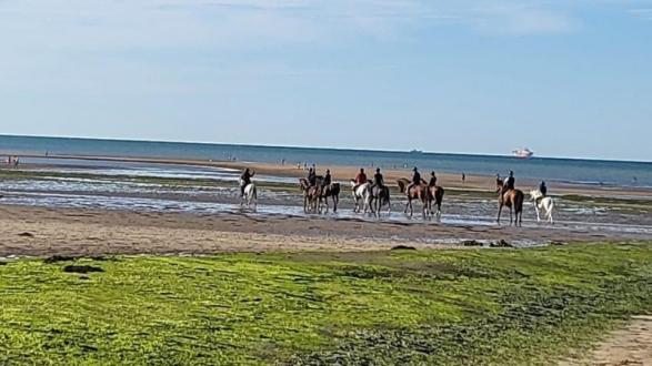 randonnée à cheval
