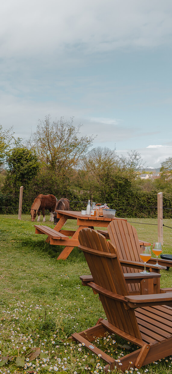 Envoyez-nous un message